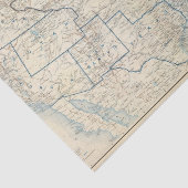 Verenigde Staten dec 1860 Tissuepapier (Detail)