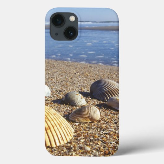 Verenigde Staten, Florida, kustwateren Case-Mate iPhone Case (Achterkant)
