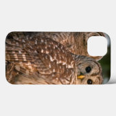 Verenigde Staten, Florida, Viera Wetlands. Drie st Case-Mate iPhone Case (Achterkant (horizontaal))