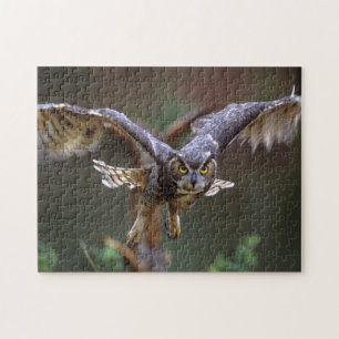 Verenigde Staten, Georgia, Pine Mountain, Callaway Legpuzzel