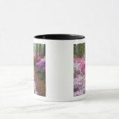 Verenigde Staten; Georgië; Pine Mountain. Azaleas  Mok (Midden)