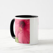 Verenigde Staten, Hawaii, Kauai, Hibiscus Mok (Voorkant links)