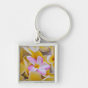 Verenigde Staten, Hawaii, Oahu, Plumeria bloemen i Sleutelhanger