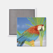 Verenigde Staten, Hawaii. Parrot Magneet (Voorkant / Achterkant)