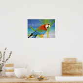 Verenigde Staten, Hawaii. Parrot Poster (Keuken)