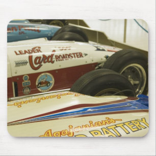 Verenigde Staten, Indiana, Indianapolis: Indianapo Muismat