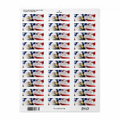 Verenigde Staten Kale Eagle Return Adres Label (Full Sheet)