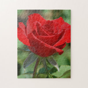 Verenigde Staten, Kansas, Red Rose Legpuzzel