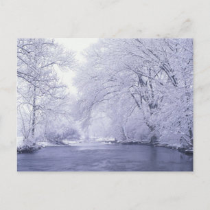 Verenigde Staten, Kentucky, Louisville. Sneeuw bed Briefkaart