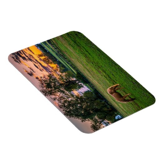 Verenigde Staten, Lexington, Kentucky. Lone Horse Magneet (Rechterzijde)