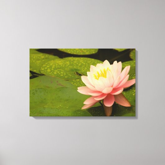 Verenigde Staten, Maryland, Westminster, Unie Canvas Afdruk (Voorkant)