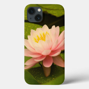Verenigde Staten, Maryland, Westminster, Union 2 iPhone 13 Hoesje