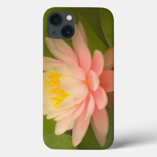 Verenigde Staten, Maryland, Westminster, Union iPhone 13 Hoesje
