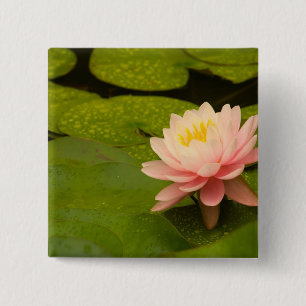 Verenigde Staten, Maryland, Westminster, Union Vierkante Button 5,1 Cm