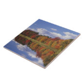 Verenigde Staten, Massachusetts, Acton. Herziening Tegeltje (Zijkant)