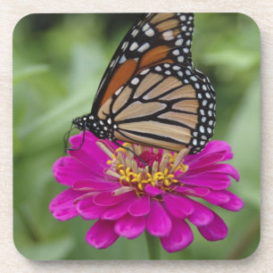 Verenigde Staten, Massachusetts, Boylston, Tower H Bier Onderzetter