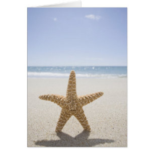 Verenigde Staten, Massachusetts, Cape Cod, Nantuck