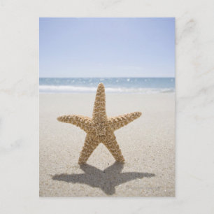 Verenigde Staten, Massachusetts, Cape Cod, Nantuck Briefkaart