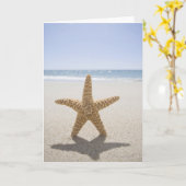 Verenigde Staten, Massachusetts, Cape Cod, Nantuck Kaart (Gele Bloem)