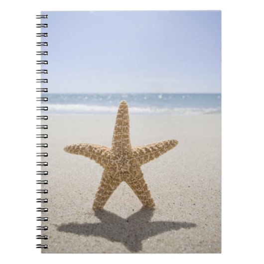 Verenigde Staten, Massachusetts, Cape Cod, Nantuck Notitieboek (Voorkant)