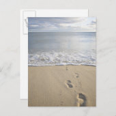 Verenigde Staten, Massachusetts, Cape Cod, voetafd Briefkaart (Voorkant / Achterkant)