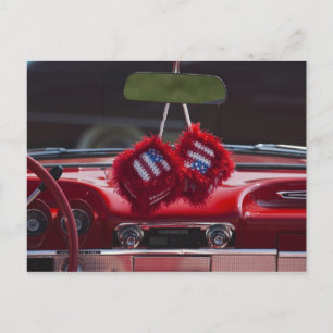 Verenigde Staten, Massachusetts, Gloucester. Fuzzy Briefkaart