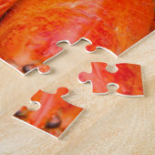 Verenigde Staten, Massachusetts, Martha's wijntuin Legpuzzel (Zijkant)