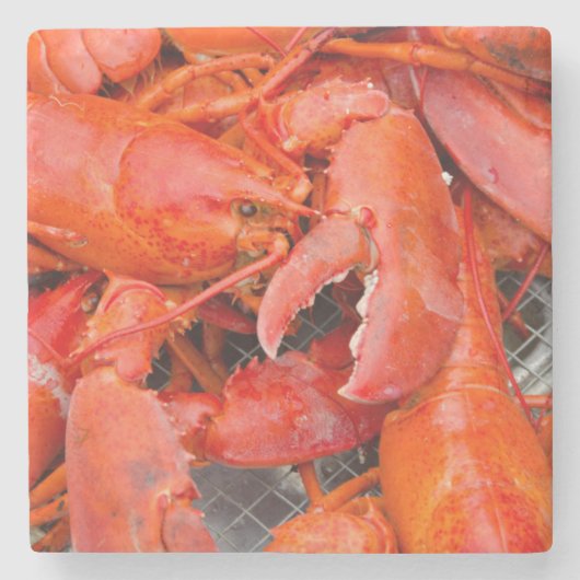 Verenigde Staten, Massachusetts, Martha's wijntuin Stenen Onderzetter (Voorkant)