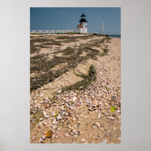 Verenigde Staten, Massachusetts, Nantucket. Shell Poster