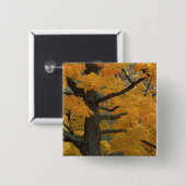 Verenigde Staten, Michigan, Sluiting van de suiker Vierkante Button 5,1 Cm (Voorkant /achterkant)