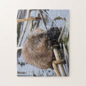 Verenigde Staten, Nebraska. Beaver Legpuzzel (Verticaal)