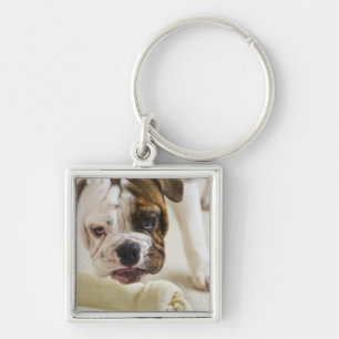 Verenigde Staten, New Jersey, Jersey City, Cute bu Sleutelhanger