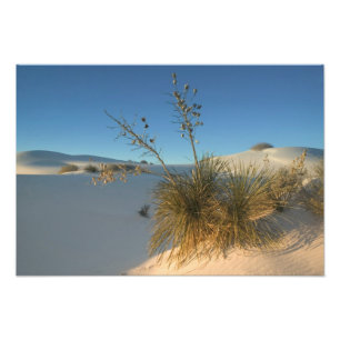 Verenigde Staten, New Mexico, White Sands National Foto Afdruk