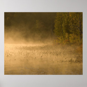 Verenigde Staten, New York, Adirondack Park. Zonne Poster