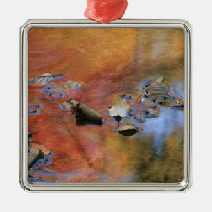 Verenigde Staten, New York, Adirondacks, Gestorven Metalen Ornament