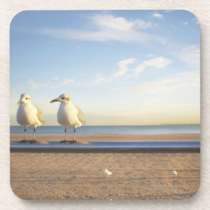 Verenigde Staten, New York City, Coney Island, dri Onderzetter