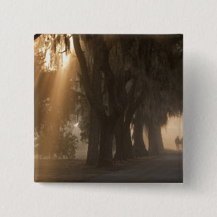 Verenigde Staten; Noord-Amerika; Georgië; Savanna Vierkante Button 5,1 Cm