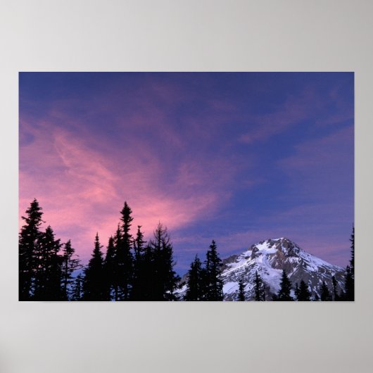 Verenigde Staten, Oregon, berg Hood uit Timberline Poster (Voorkant)