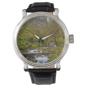 Verenigde Staten, Oregon, Columbia Gorge Horloge