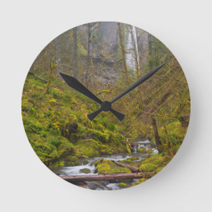 Verenigde Staten, Oregon, Columbia Gorge Ronde Klok