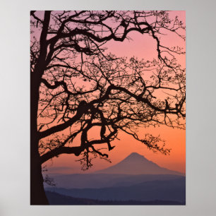 Verenigde Staten, Oregon, Columbia River Gorge Nat Poster