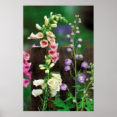 Verenigde Staten, Pennsylvania. Foxglove and delph Poster (Voorkant)