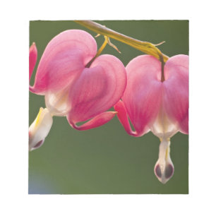 Verenigde Staten, Pennsylvania. Sluiting van twee  Notitieblok