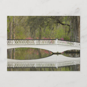 Verenigde Staten; South Carolina; Charleston; 3 Briefkaart