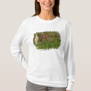 Verenigde Staten; South Carolina; Charleston; 4 T-shirt