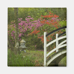 Verenigde Staten; South Carolina; Charleston; 5 Magneet