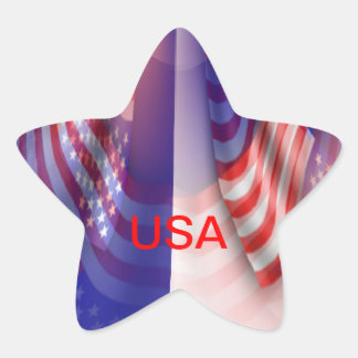 Verenigde Staten Ster Sticker
