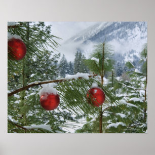 Verenigde Staten van Amerika, staat Washington, pr Poster