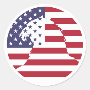 Verenigde Staten Verenigde Staten Bald Eagle Ameri Ronde Sticker