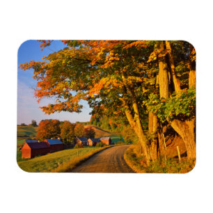 Verenigde Staten, Vermont, South Woodstock Magneet